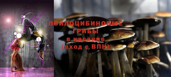 спиды Новокубанск