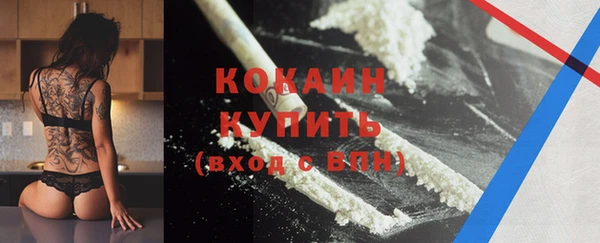 амф Новозыбков
