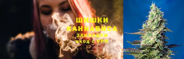 амф Новозыбков
