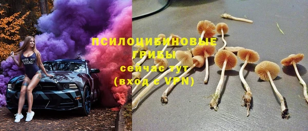 спиды Новокубанск