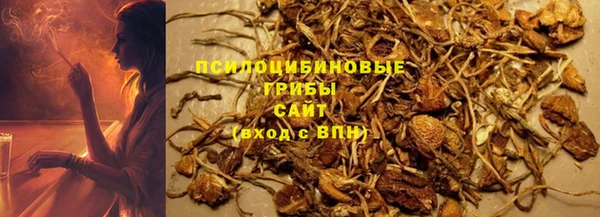 спиды Новокубанск