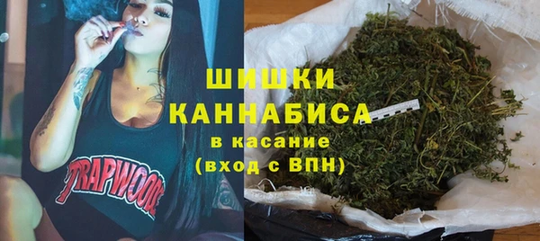 амф Новозыбков