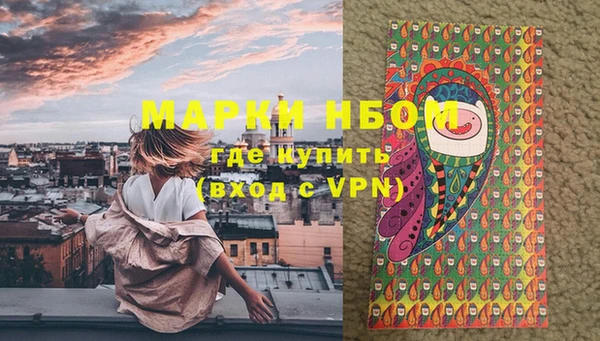амф Новозыбков