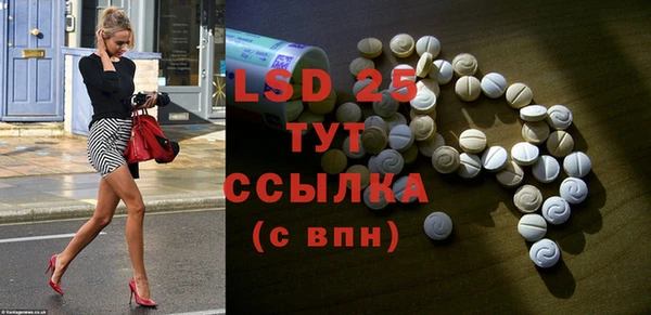 амф Новозыбков