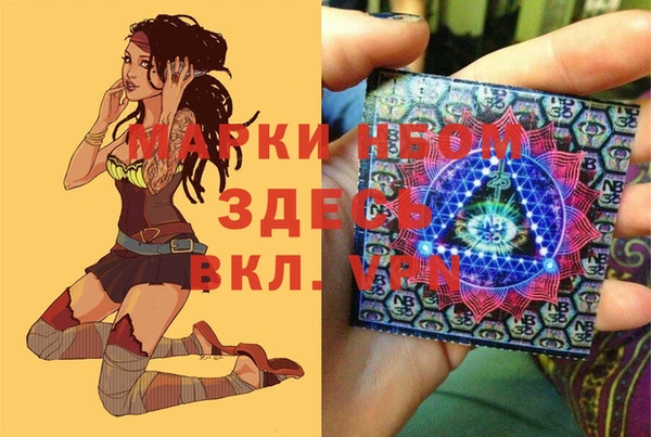 Альфа ПВП Новодвинск
